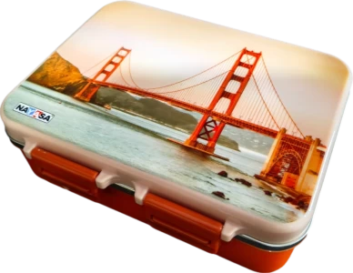 NAYASA VITAMAX Bento 2 Small Steel Tiffin Golden Gate